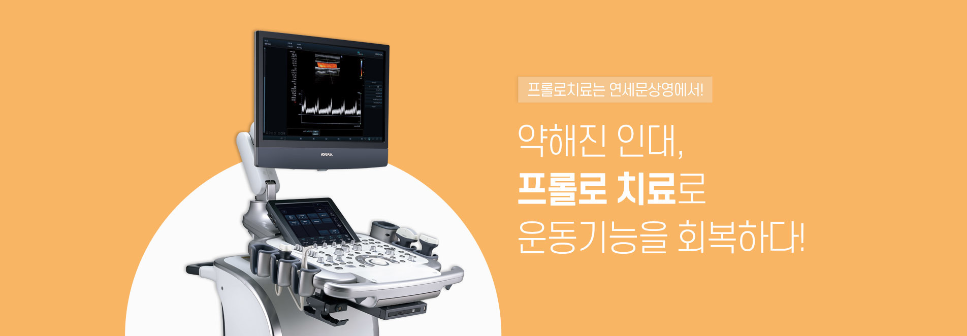프롤로 치료