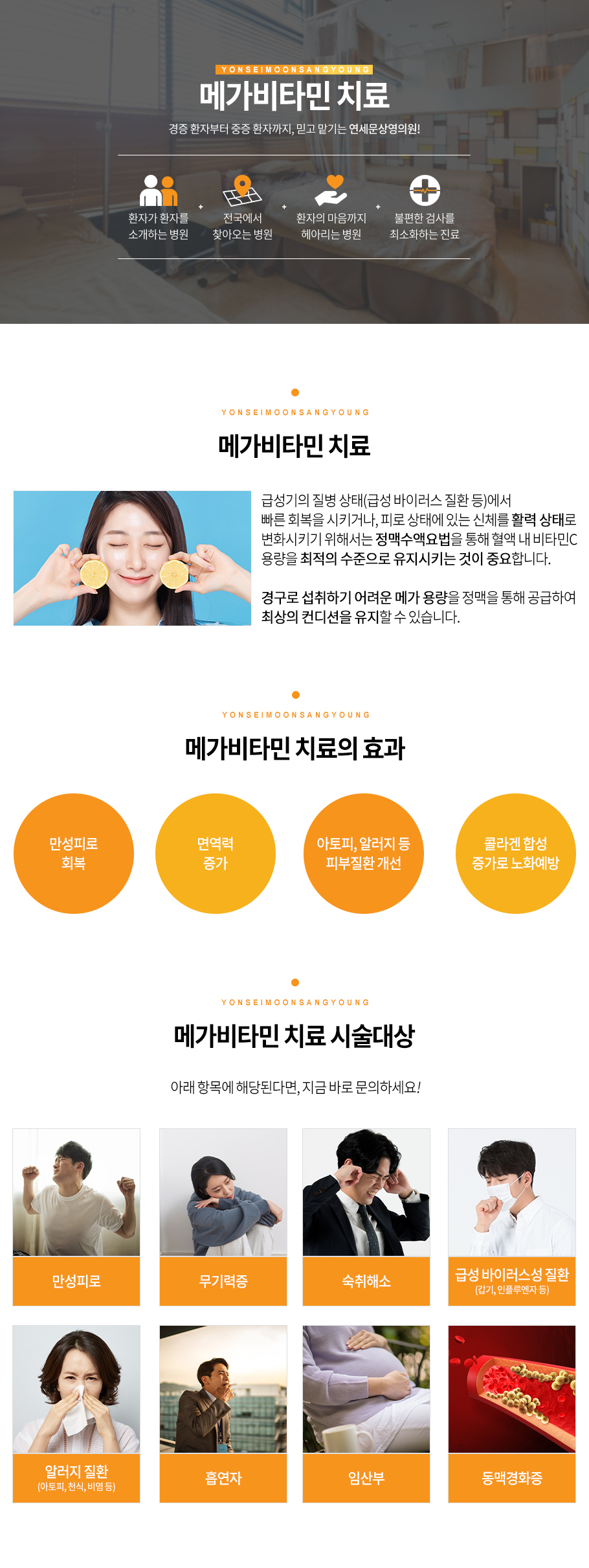 메가비타민치료